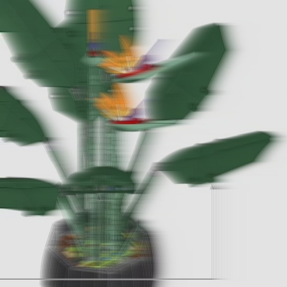 The Plant Parent - Wunderschönes Paradiesvogel-Blumenstrauß-Display-Set, Blumenpflanzenmodell, DIY-Spielzeug, Schreibtischdekoration, Valentinstagsgeschenk