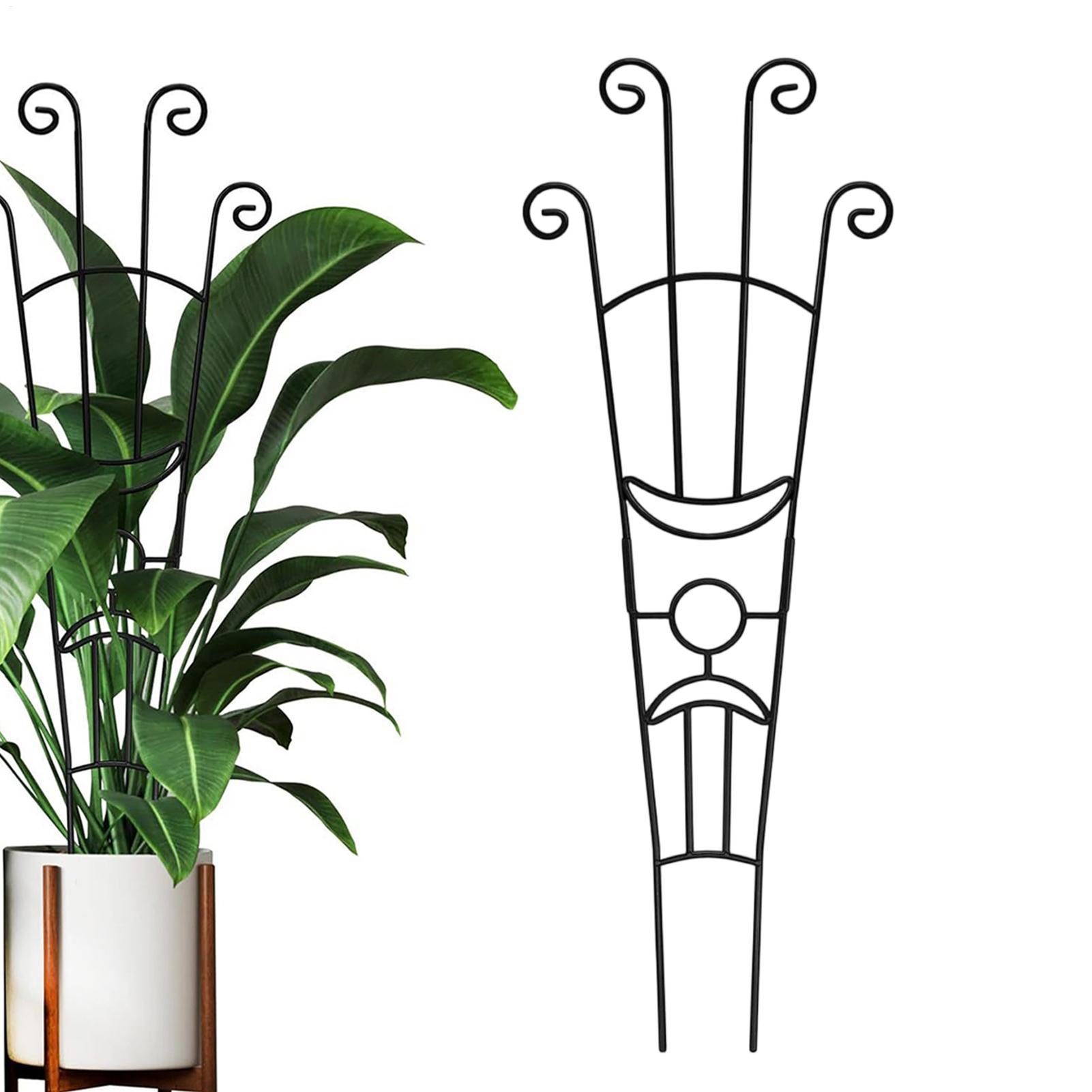 Plant Support Stake - Pflanzenspalier aus Metall, Pflanzenstütze, Pothos, Stützpfähle