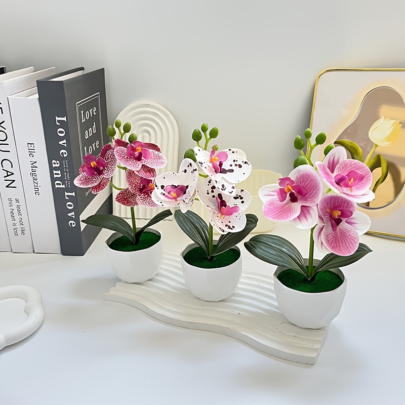 3 Stück Künstliche Phalaenopsi – Succulent Set Bewertung und Preis