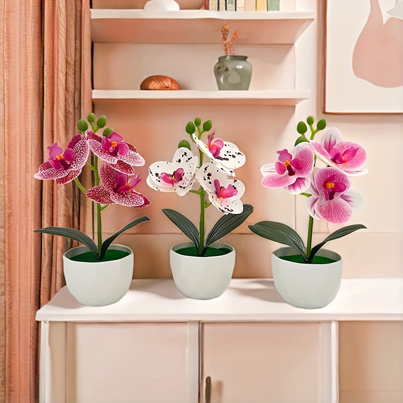3 Stück Künstliche Phalaenopsi – Succulent Set Bewertung und Preis