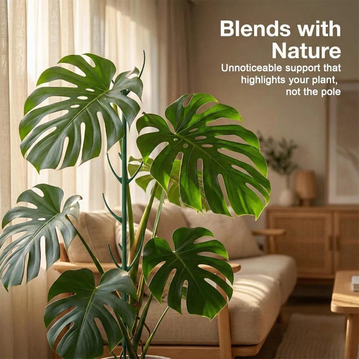 6-teiliges Monstera-Pflanzenst – Plant Support Stake Bewertung und Preis
