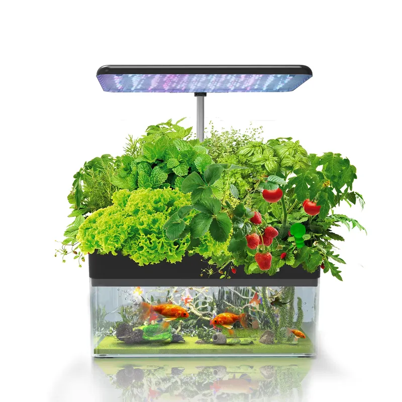 Marke IGS-70 Indoor Hydroponik – Indoor Plants Bewertung und Preis
