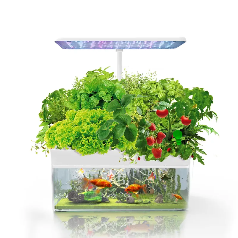 Marke IGS-70 Indoor Hydroponik – Indoor Plants Bewertung und Preis