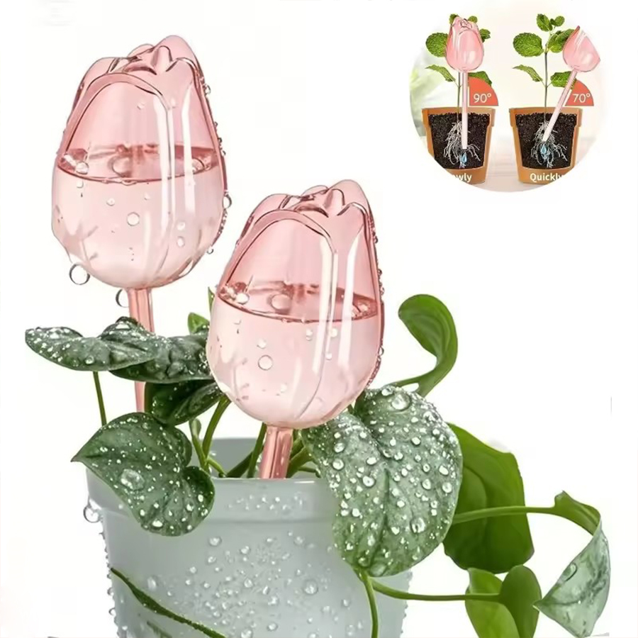 Transparenter, dicker PET-Tulp – Pothos Bewertung und Preis
