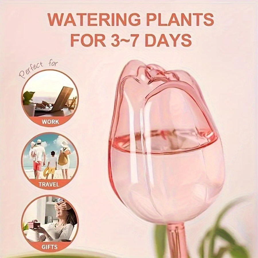 Transparenter, dicker PET-Tulp – Pothos Bewertung und Preis