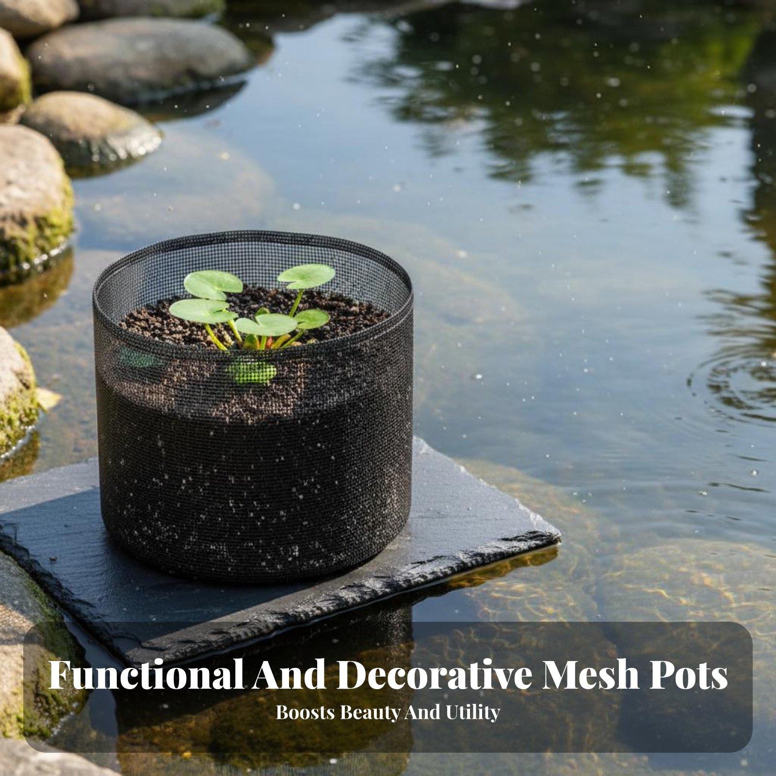 4-teiliges Set Wasserschilf-Pf – Plant Pot Bewertung und Preis