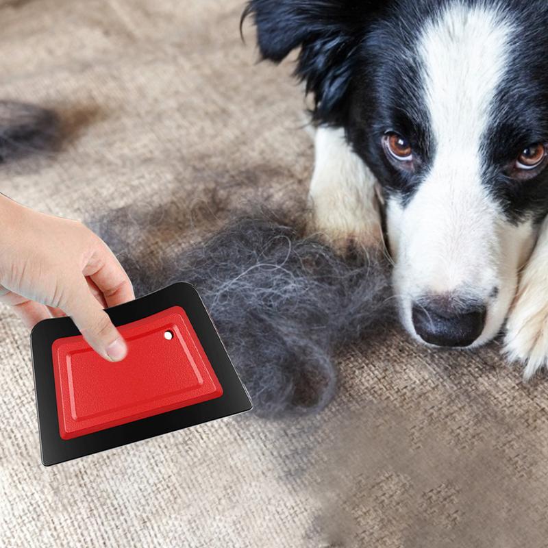 Pet Haarentferner Kamm Bürste  – Repotting Mat Bewertung und Preis
