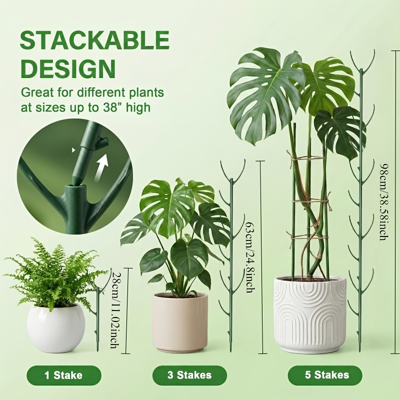 Monstera-Pflanzenstützstäbe, 5 – Plant Support Stake Bewertung und Preis