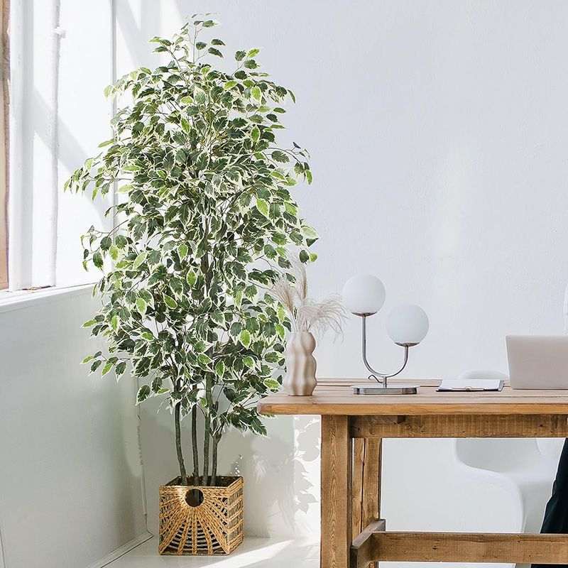 70 Zoll künstlicher Ficus-Baum – Fiddle Leaf Fig Bewertung und Preis
