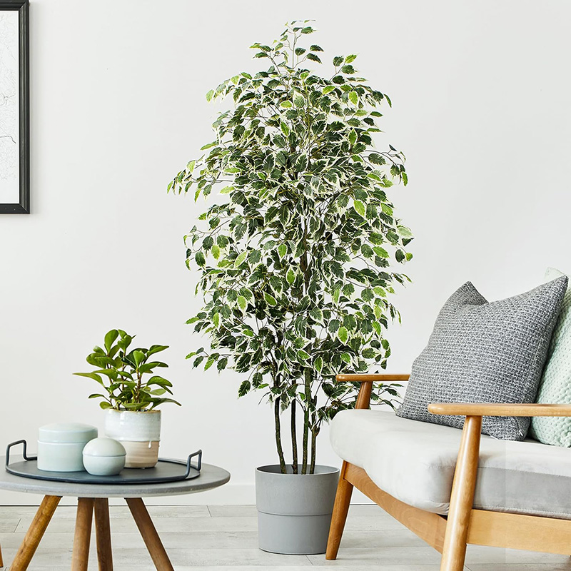70 Zoll künstlicher Ficus-Baum – Fiddle Leaf Fig Bewertung und Preis