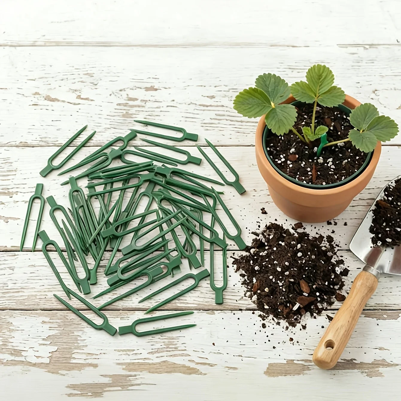 50 Stück Kunststoff-Pflanzenra – Plant Support Stake Bewertung und Preis