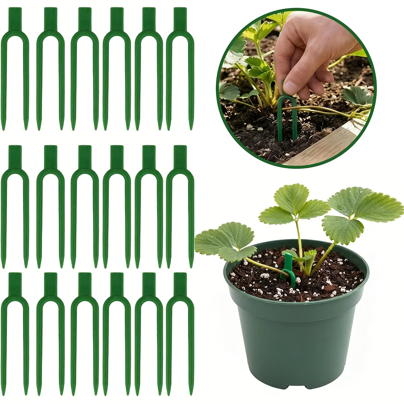50 Stück Kunststoff-Pflanzenra – Plant Support Stake Bewertung und Preis